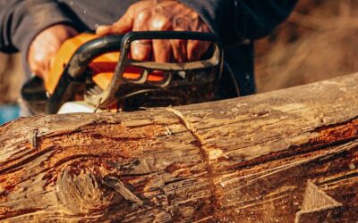 Prevención de Riesgos Laborales en Trabajos Forestales