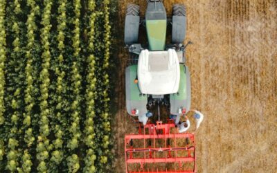 Prevención de Riesgos Laborales en el Sector Agrícola