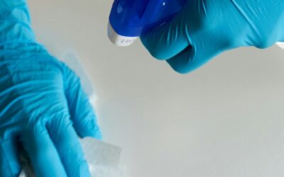 Prevención de Riesgos Laborales para las personas Empleadas del Hogar